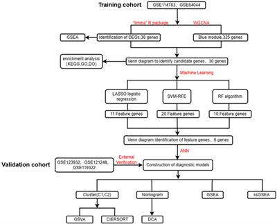 Uncovering the immune microenvironment and molecular subtypes of hepatitis B-related liver cirrhosis and developing stable a diagnostic differential model by machine learning and artificial neural networks